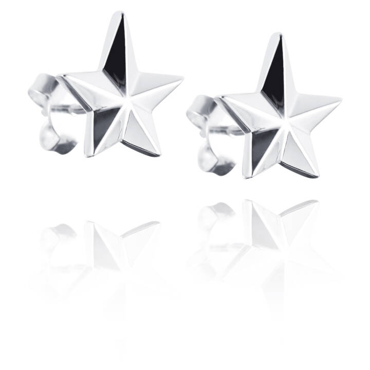 Catch A Falling Star Earring Silver in the group Earrings / Silver Earrings at SCANDINAVIAN JEWELRY DESIGN (12-100-00882-0000)
