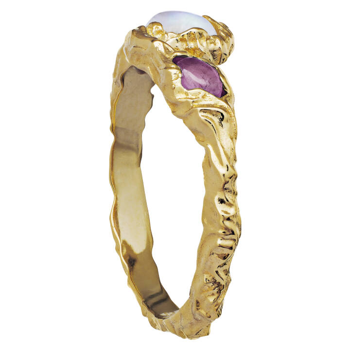 Baila Ring (Gold) in the group Rings at SCANDINAVIAN JEWELRY DESIGN (4764a)