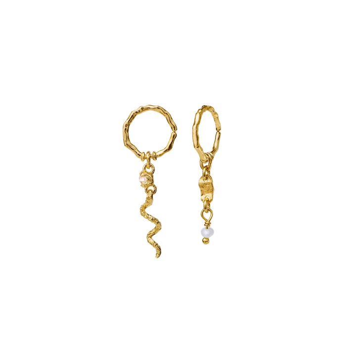 Evelyn Earring Gold in the group Earrings / Gold Earrings at SCANDINAVIAN JEWELRY DESIGN (9749a)