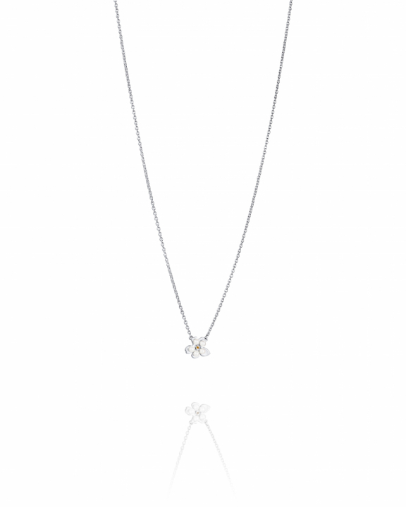 Forget-me-not Necklace Silver in the group Necklaces / Silver Necklaces at SCANDINAVIAN JEWELRY DESIGN (10-100-02345-4045)