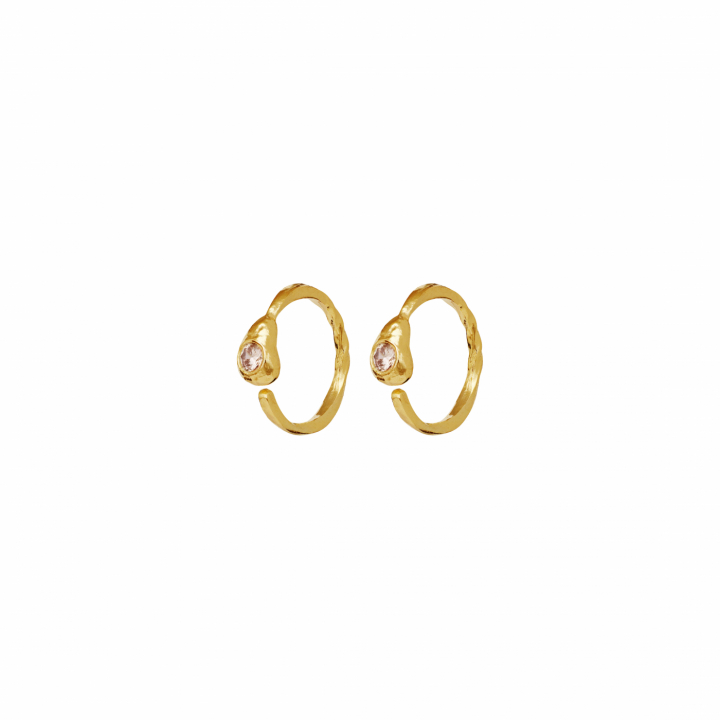Beth Earrings Gold in the group Earrings / Gold Earrings at SCANDINAVIAN JEWELRY DESIGN (10003A)