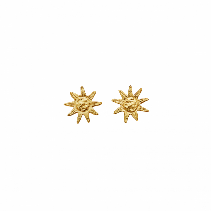June Earrings Gold in the group Earrings / Gold Earrings at SCANDINAVIAN JEWELRY DESIGN (10004A)