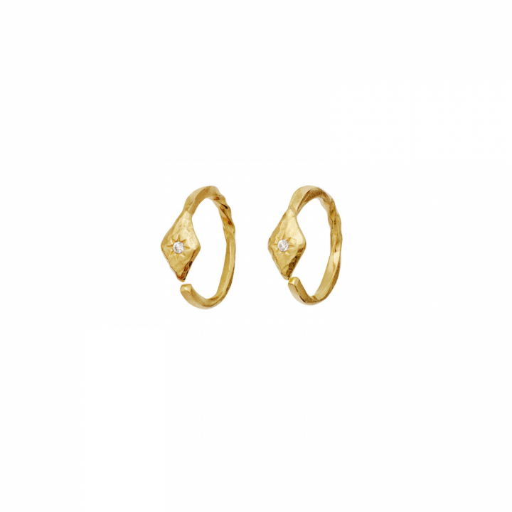 Forte Earrings Gold in the group Earrings / Gold Earrings at SCANDINAVIAN JEWELRY DESIGN (10021A)