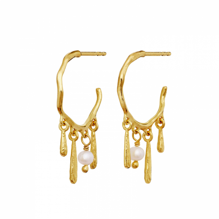 Fricka Earrings Gold in the group Earrings / Pearl Earrings at SCANDINAVIAN JEWELRY DESIGN (10032A)