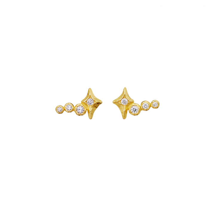 Minna Earrings Gold in the group Earrings / Gold Earrings at SCANDINAVIAN JEWELRY DESIGN (10044A)