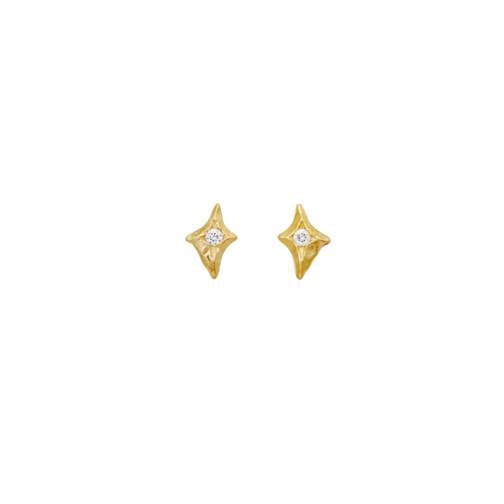 Sylfide Earrings Gold in the group Earrings / Gold Earrings at SCANDINAVIAN JEWELRY DESIGN (10047A)