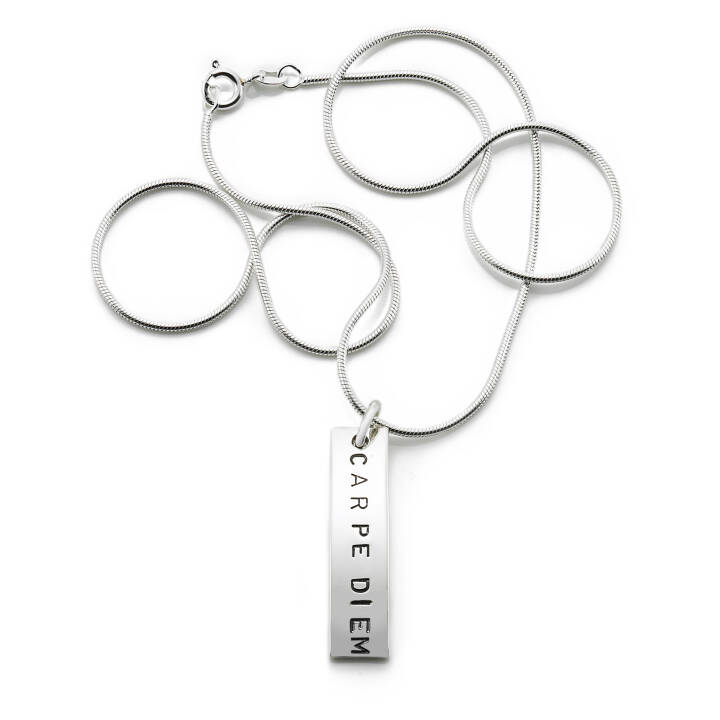 Carpe Diem Pendant Silver in the group Necklaces / Silver Necklaces at SCANDINAVIAN JEWELRY DESIGN (11-100-00950)