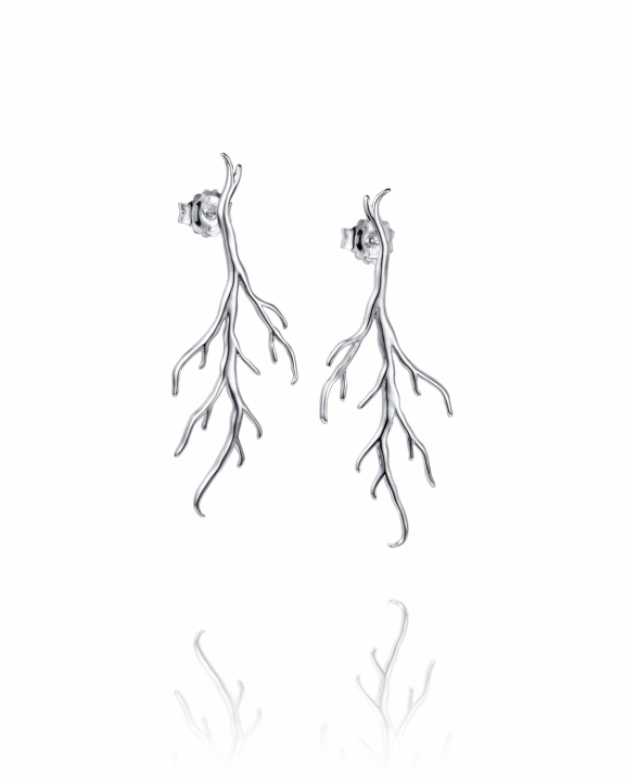 Roots Earrings Silver in the group Earrings / Silver Earrings at SCANDINAVIAN JEWELRY DESIGN (12-100-02355-0000)
