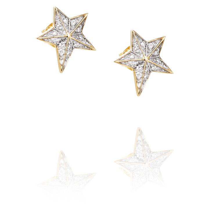 Catch A Falling Star & Stars Earring Gold in the group Earrings / Gold Earrings at SCANDINAVIAN JEWELRY DESIGN (12-101-01406-0000)