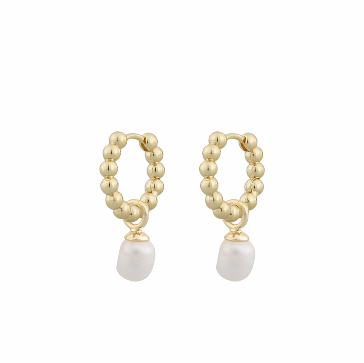 Arizona small ring pendant ear gold white in the group Earrings / Pearl Earrings at SCANDINAVIAN JEWELRY DESIGN (1267-7300-362-ONE)