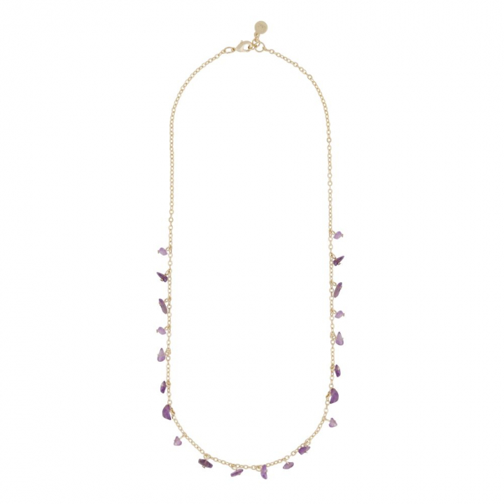 Capri stone charm neck gold purple 45 cm in the group Necklaces / Gold Necklaces at SCANDINAVIAN JEWELRY DESIGN (1274-0245-356-45)