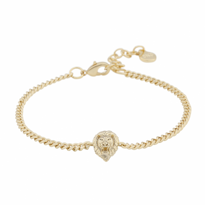 Oz lion chain brace plain Gold-Onesize in the group Bracelets / Gold Bracelets at SCANDINAVIAN JEWELRY DESIGN (1286-3400-257-ONE)