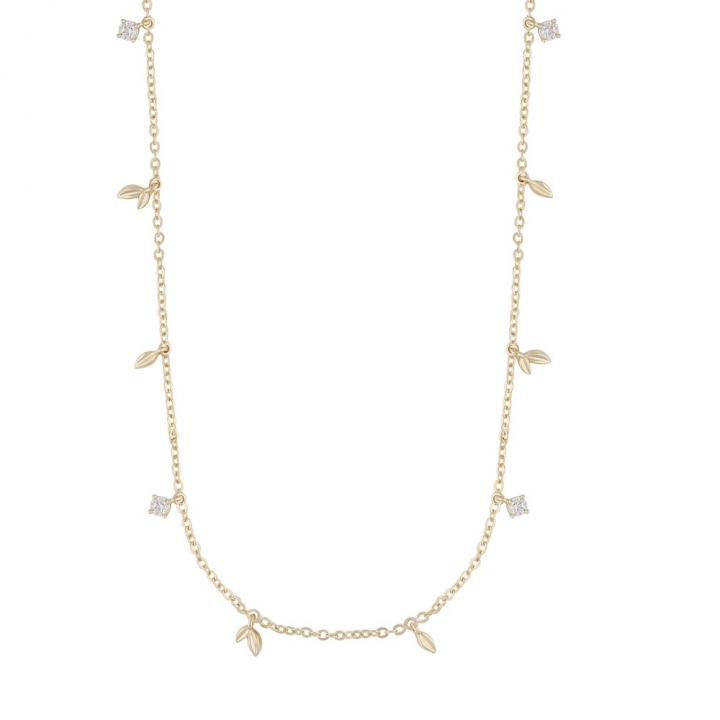 Meya charm neck 45 in the group Necklaces / Gold Necklaces at SCANDINAVIAN JEWELRY DESIGN (1293-0245-251-45)