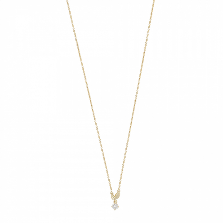 Meya small neck 42 Gold in the group Necklaces / Gold Necklaces at SCANDINAVIAN JEWELRY DESIGN (1293-0442-251)