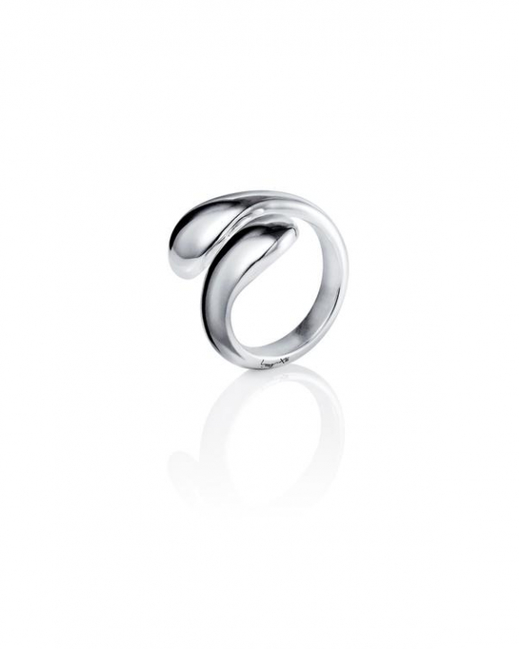 Love buddies Ring Silver in the group Rings / Silver Rings at SCANDINAVIAN JEWELRY DESIGN (13-100-02246)