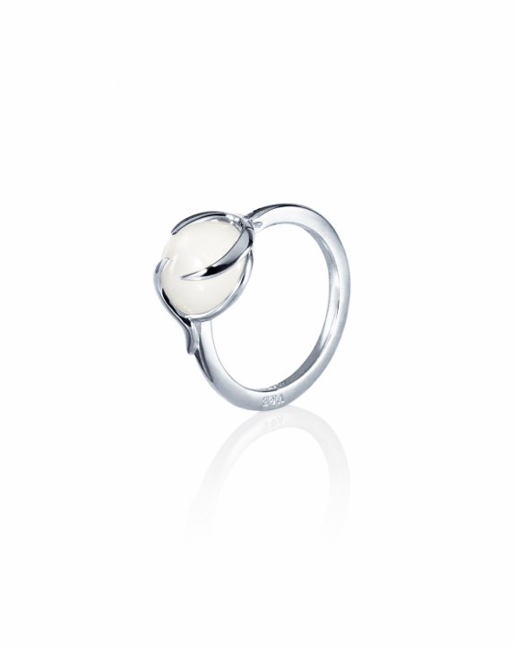 Frö Ring Silver in the group Rings / Silver Rings at SCANDINAVIAN JEWELRY DESIGN (13-100-02342)