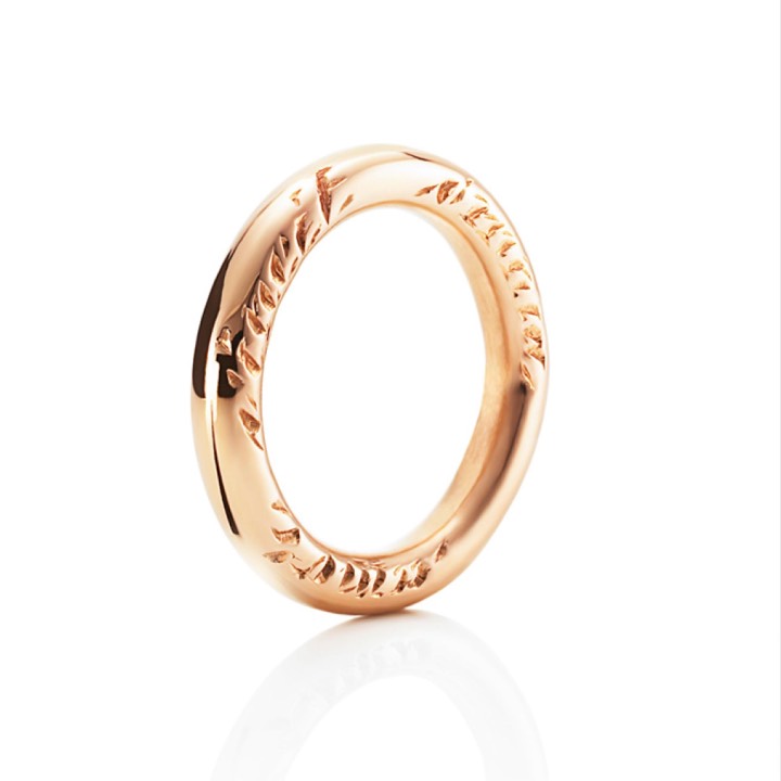 Amor Vincit Omnia Ring Gold in the group Rings / Gold Rings at SCANDINAVIAN JEWELRY DESIGN (13-101-00249)