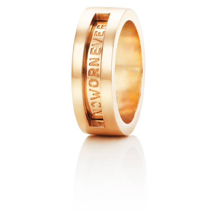 Now Or Never Ring Gold in the group Rings / Gold Rings at SCANDINAVIAN JEWELRY DESIGN (13-101-00270)
