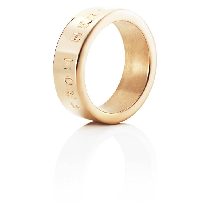 From Here To Eternity Stamped Ring Gold in the group Rings / Gold Rings at SCANDINAVIAN JEWELRY DESIGN (13-101-00611)