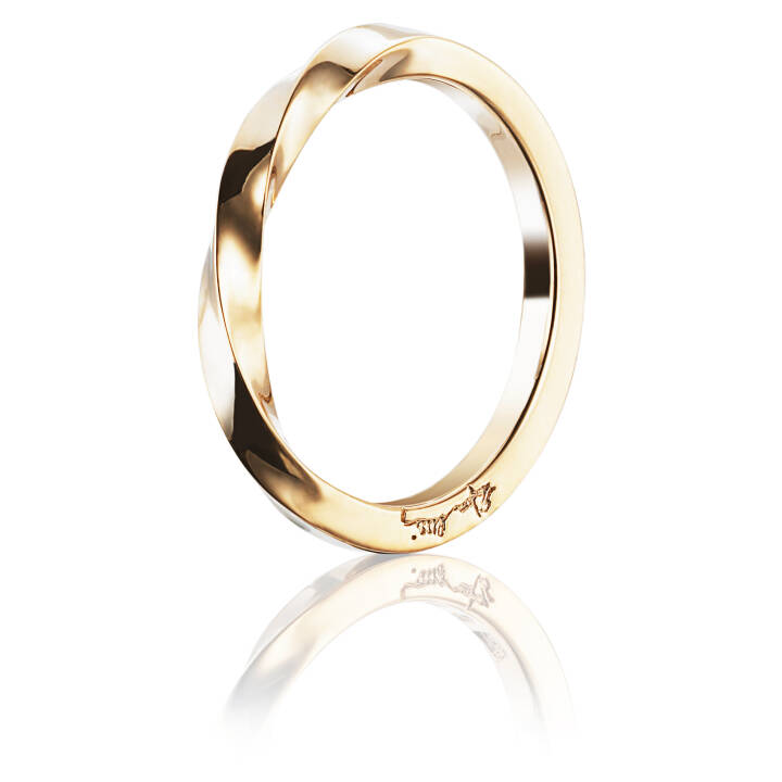 Viking Plain Ring Gold in the group Rings / Gold Rings at SCANDINAVIAN JEWELRY DESIGN (13-101-00978)