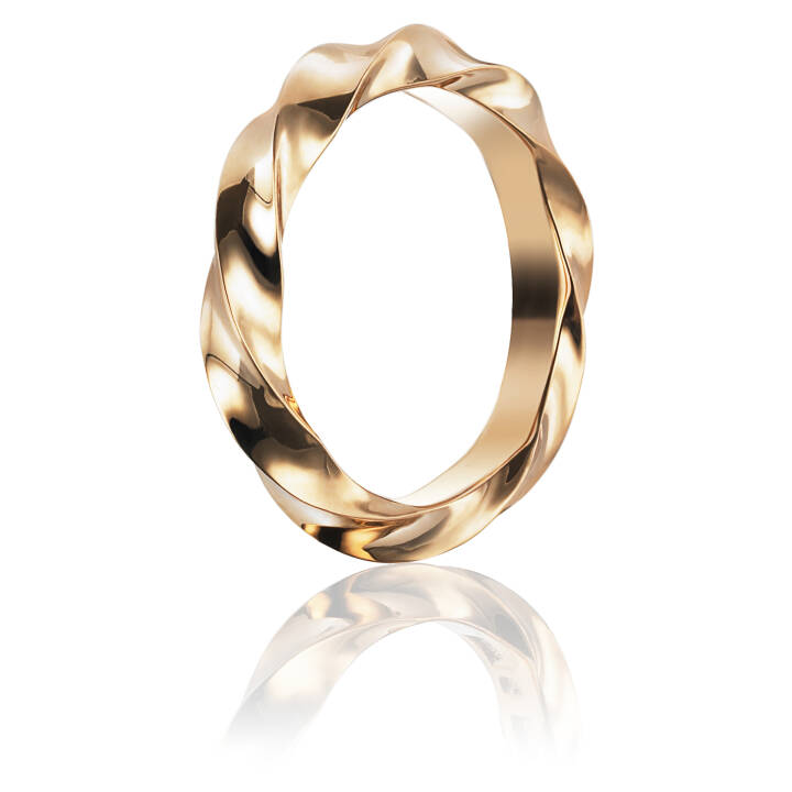 Viking Wide Ring Gold in the group Rings / Gold Rings at SCANDINAVIAN JEWELRY DESIGN (13-101-00979)