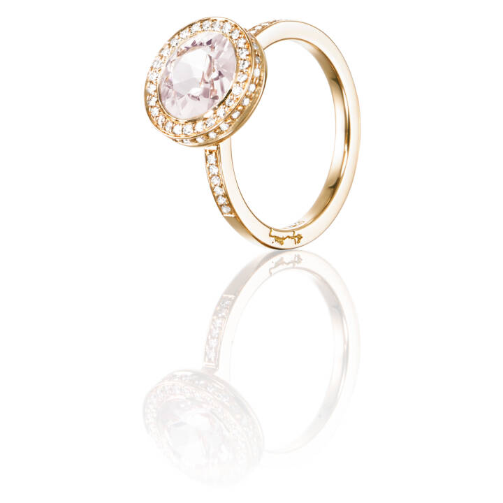 Halo - Morganite Ring Gold in the group Rings / Engagement & Wedding Rings at SCANDINAVIAN JEWELRY DESIGN (13-101-01915)