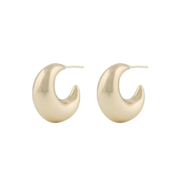 Millie round ear Gold in the group Earrings / Gold Earrings at SCANDINAVIAN JEWELRY DESIGN (1321-6500-257)