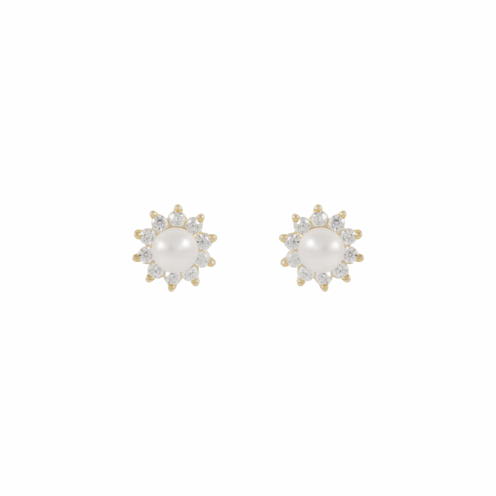Line pearl Earrings Gold in the group Earrings / Pearl Earrings at SCANDINAVIAN JEWELRY DESIGN (1360-6600-362)