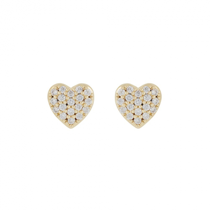 Lovely small crystal Earrings Gold in the group Earrings / Gold Earrings at SCANDINAVIAN JEWELRY DESIGN (1363-6200-251)