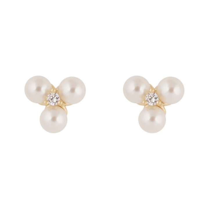 Eira tripple pearl ear Gold in the group Earrings / Pearl Earrings at SCANDINAVIAN JEWELRY DESIGN (1368-6100-362)