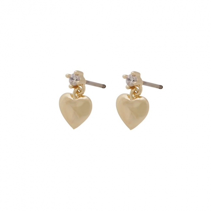 Cute short Earrings Gold in the group Earrings / Gold Earrings at SCANDINAVIAN JEWELRY DESIGN (1394-6700-251)