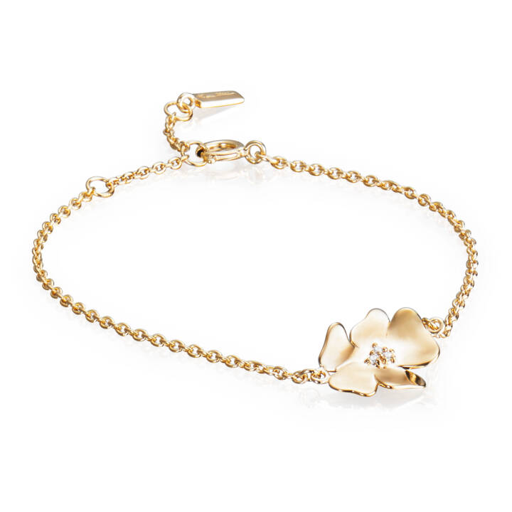 Violet & Stars Bracelets Gold in the group Bracelets / Diamond bracelet at SCANDINAVIAN JEWELRY DESIGN (14-101-01445-0000)