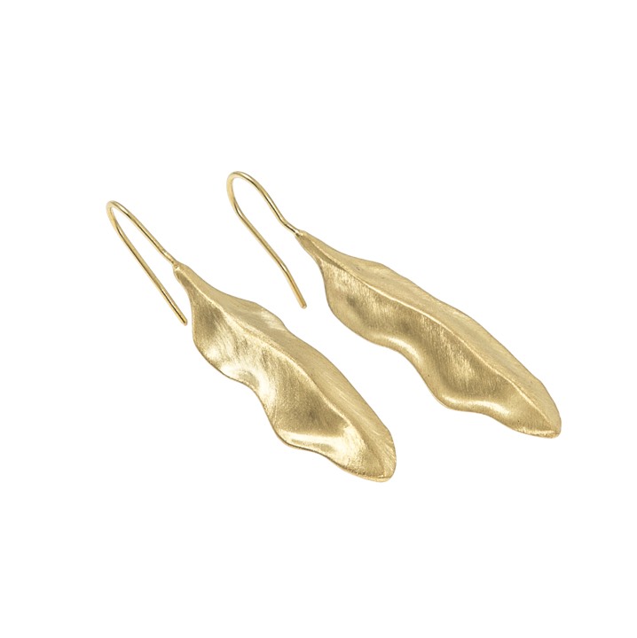 Feather Earring Gold in the group Earrings / Gold Earrings at SCANDINAVIAN JEWELRY DESIGN (1422420006)
