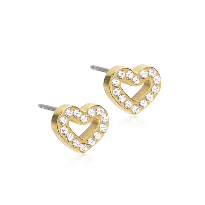 GT Brilliance Heart Hollow 8 mm, Crystal in the group Earrings at SCANDINAVIAN JEWELRY DESIGN (15-13121-01)
