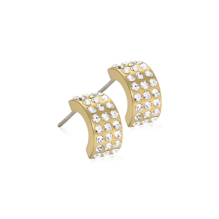  in the group Earrings at SCANDINAVIAN JEWELRY DESIGN (15-13143-01)