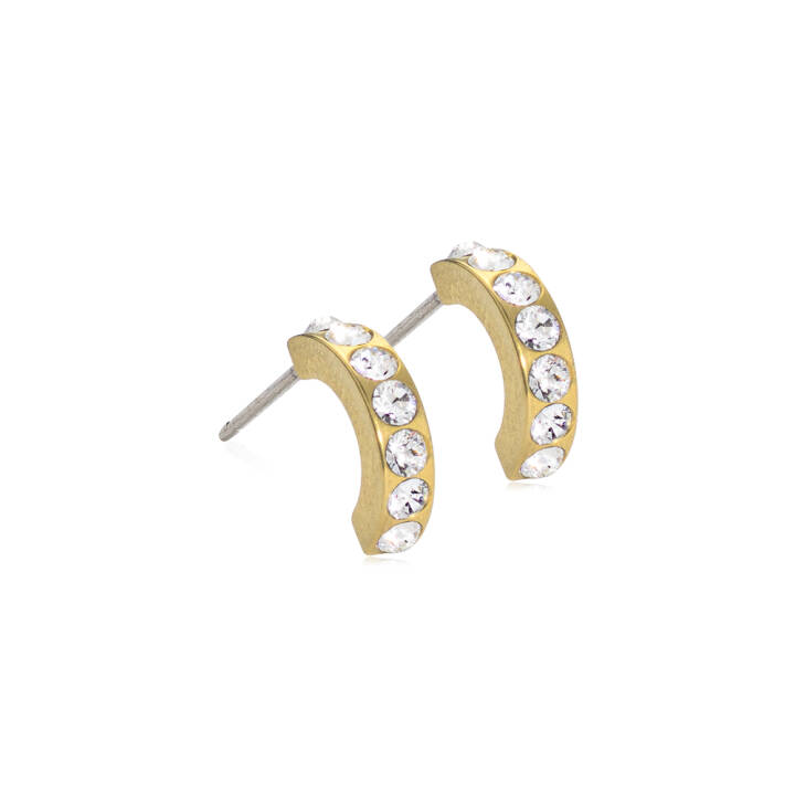  in the group Earrings at SCANDINAVIAN JEWELRY DESIGN (15-13146-01)