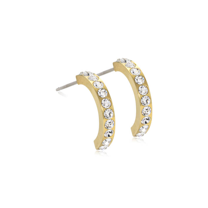  in the group Earrings at SCANDINAVIAN JEWELRY DESIGN (15-13147-01)