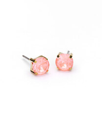 GT Tiffany 7 mm, Coral in the group Earrings at SCANDINAVIAN JEWELRY DESIGN (15-1315-34)