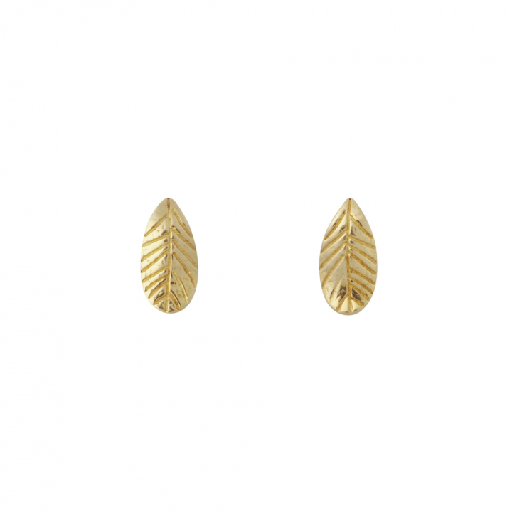 Lingonberry Earring Gold in the group Earrings / Gold Earrings at SCANDINAVIAN JEWELRY DESIGN (1611521004)