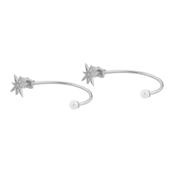 One big Earring Silver in the group Earrings / Silver Earrings at SCANDINAVIAN JEWELRY DESIGN (1631411001)
