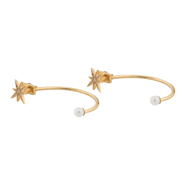 One big Earring Gold in the group Earrings / Gold Earrings at SCANDINAVIAN JEWELRY DESIGN (1631421001)
