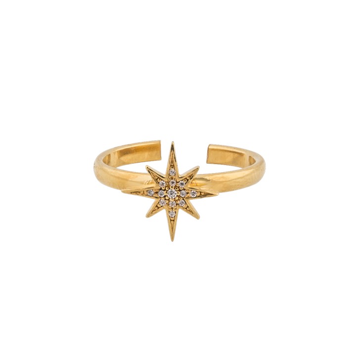 One star ring Gold in the group Rings / Gold Rings at SCANDINAVIAN JEWELRY DESIGN (1631521001)
