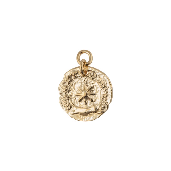 Victory coin pendant Gold in the group Necklaces / Gold Necklaces at SCANDINAVIAN JEWELRY DESIGN (1923020001)