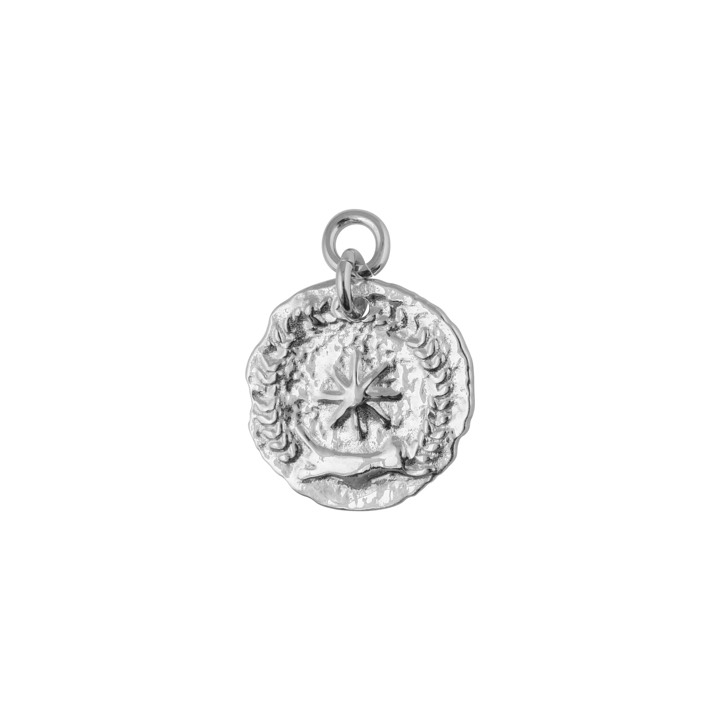 Victory coin pendant Silver in the group Necklaces / Silver Necklaces at SCANDINAVIAN JEWELRY DESIGN (1923070001)