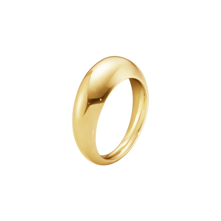 CURVE SLIM Ring Gold in the group Rings / Gold Rings at SCANDINAVIAN JEWELRY DESIGN (20000024)