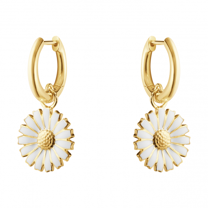 DAISY Earrings gold plated in the group Earrings / Gold Earrings at SCANDINAVIAN JEWELRY DESIGN (20001671)