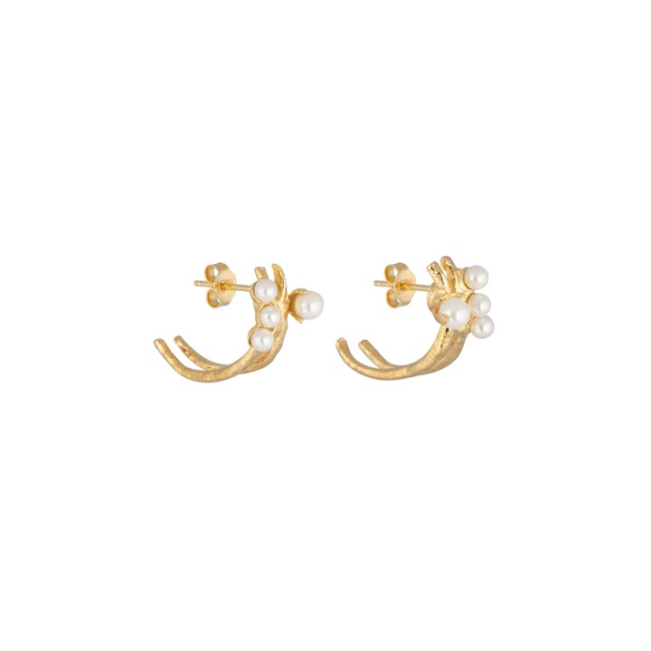 Pearl kluster Earring Gold in the group Earrings / Pearl Earrings at SCANDINAVIAN JEWELRY DESIGN (2018421001)