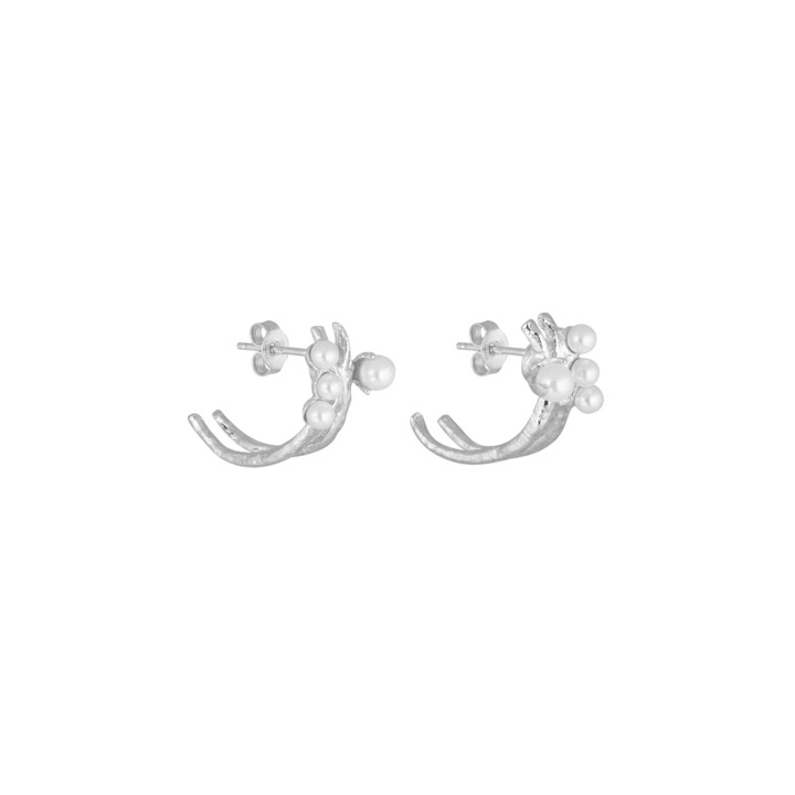 Pearl kluster Earring Silver in the group Earrings / Pearl Earrings at SCANDINAVIAN JEWELRY DESIGN (2018471001)