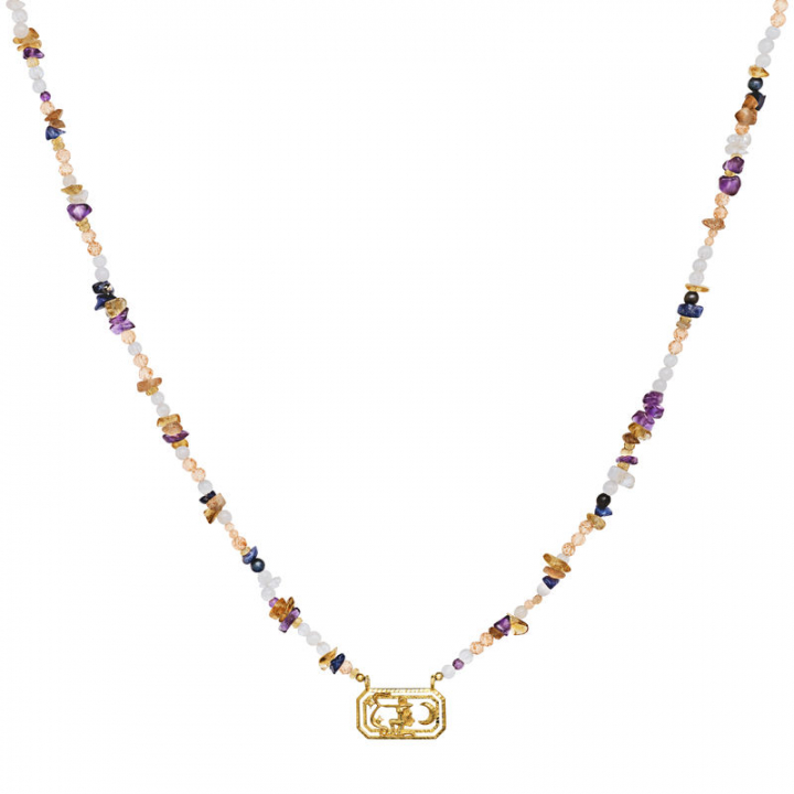 Zodiac Fire Sagittarius Necklaces (Gold) in the group Necklaces / Gold Necklaces at SCANDINAVIAN JEWELRY DESIGN (2628a)