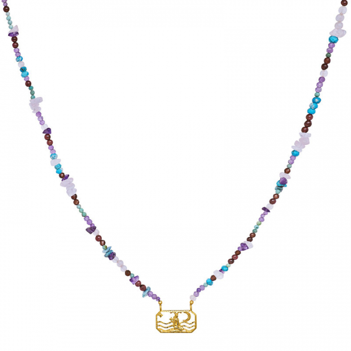 Zodiac Earth Capricorn Necklaces (Gold) in the group Necklaces / Gold Necklaces at SCANDINAVIAN JEWELRY DESIGN (2631a)